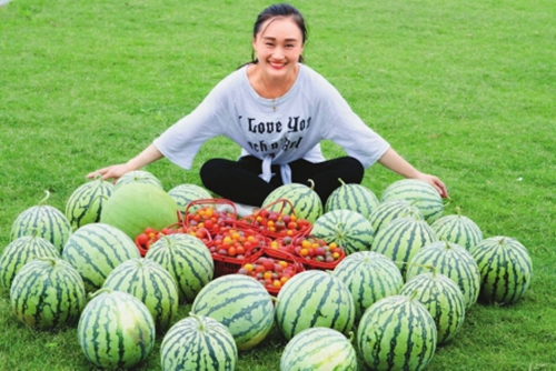 自贡美女返乡创业&nbsp;要让更多人吃上绿色蔬菜(图1)