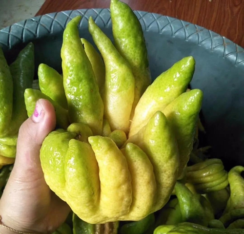 大丰收！合江这个地方再次惊艳(图7)