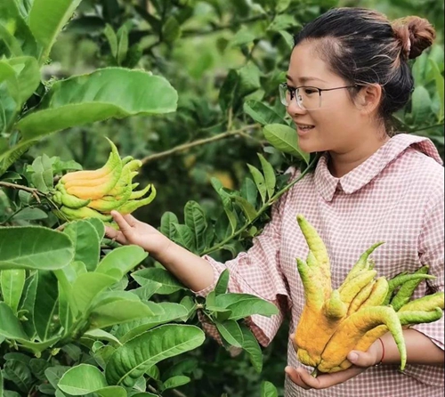 大丰收！合江这个地方再次惊艳(图9)