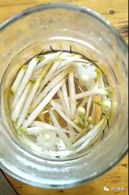 大丰收！合江这个地方再次惊艳(图16)