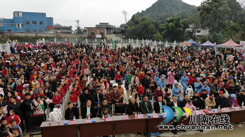 古蔺东新镇：在音乐节中沸腾&nbsp;因产业发展振兴(图10)