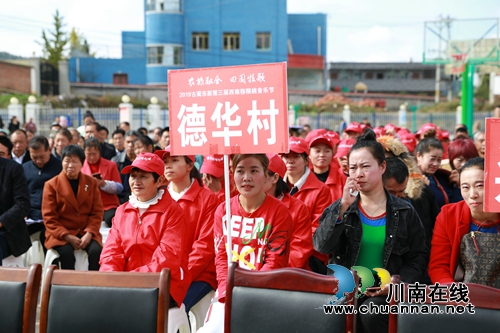 古蔺东新镇：在音乐节中沸腾&nbsp;因产业发展振兴(图16)