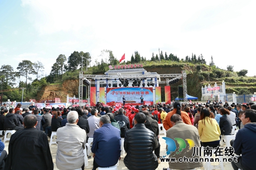 古蔺东新镇：在音乐节中沸腾&nbsp;因产业发展振兴(图17)