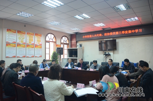 龙马潭区小市街道人大工委开展第三季度集中学习(图1)