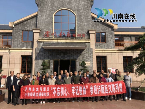 龙马潭区小市街道合道街社区开展爱国主义教育活动(图3)