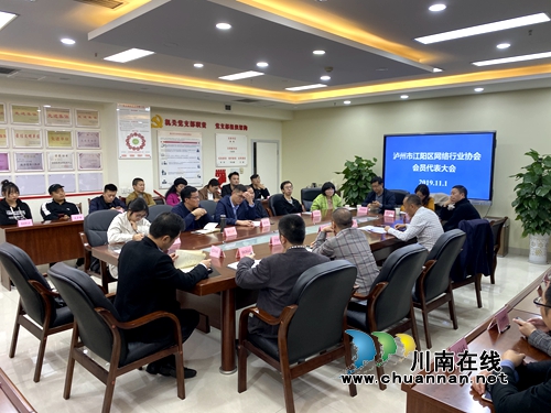 江阳区网络行业协会选举产生新一届领导班子(图4)