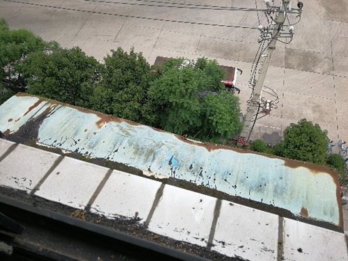 隆昌两兄弟坠楼身亡&nbsp;目击者称间隔仅几十秒(图2)