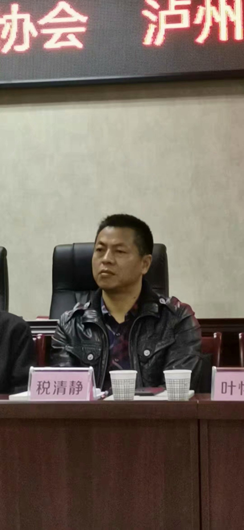 报告文学《让梦想起飞》作品研讨会在泸州举办(图3)