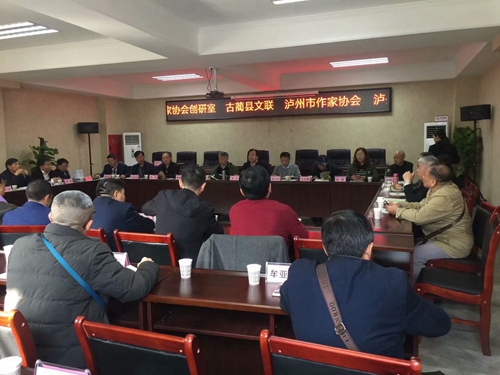 报告文学《让梦想起飞》作品研讨会在泸州举办(图6)