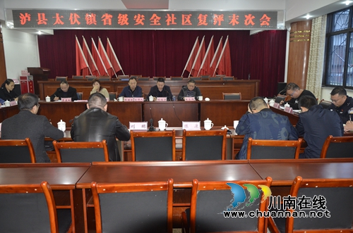 省级安全社区专家组到泸县太伏镇复评安全社区工作(图3)