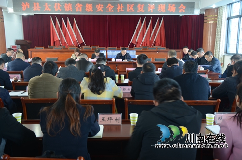 省级安全社区专家组到泸县太伏镇复评安全社区工作(图4)