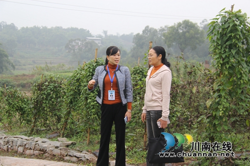 市委第四巡回指导组到泸县云龙镇督导“不忘初心&nbsp;牢记使命”主题教育工作(图3)