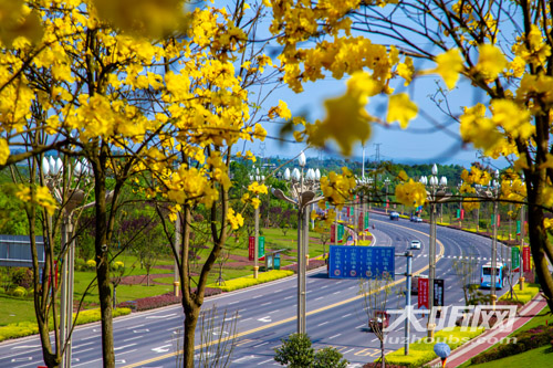 泸州最美机场路延伸&nbsp;安宁、龙马大道将大变样(图1)