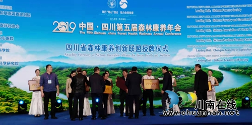 四川六大森林康养创新联盟在宜宾正式授牌(图3)