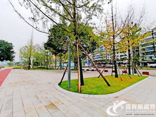 宜宾金沙江湿地公园开放八成&nbsp;预计11月完工(图3)