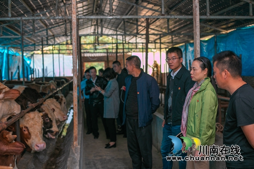 龙马潭区莲花池街道：携手市级部门开展扶贫攻坚工作(图3)