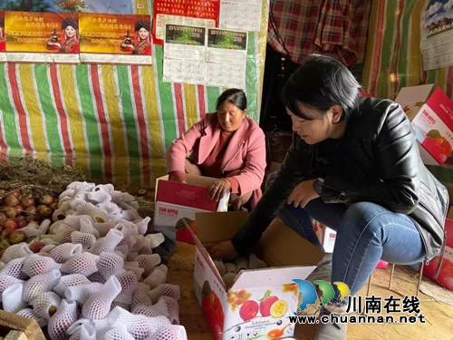 帮助大凉山“亲人” 江阳法院买了2000斤苹果(图8) 帮助大凉山“亲人” 江阳法院买了2000斤苹果(图8)