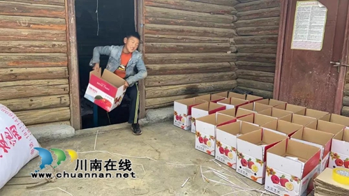 帮助大凉山“亲人” 江阳法院买了2000斤苹果(图9) 帮助大凉山“亲人” 江阳法院买了2000斤苹果(图9)