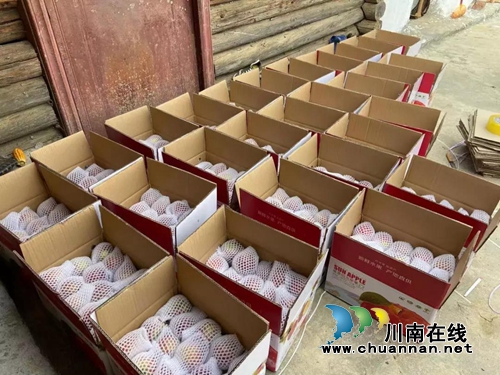 帮助大凉山“亲人” 江阳法院买了2000斤苹果(图10) 帮助大凉山“亲人” 江阳法院买了2000斤苹果(图10)