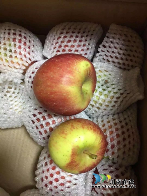 帮助大凉山“亲人” 江阳法院买了2000斤苹果(图12) 帮助大凉山“亲人” 江阳法院买了2000斤苹果(图12)