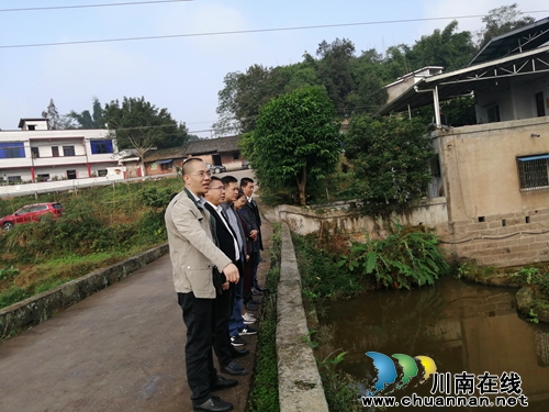 泸县县委常委、副县长赵领带队到云龙镇督导漏孔溪流域河长制工作(图2)