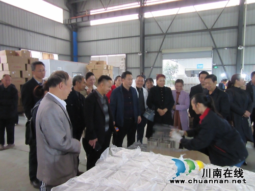 泸县潮河镇开展人大代表、政协委员集中视察活动(图1)