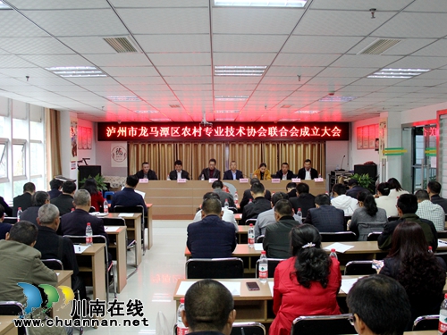 龙马潭农村专业技术协会联合会&nbsp;服务乡村振兴(图2)