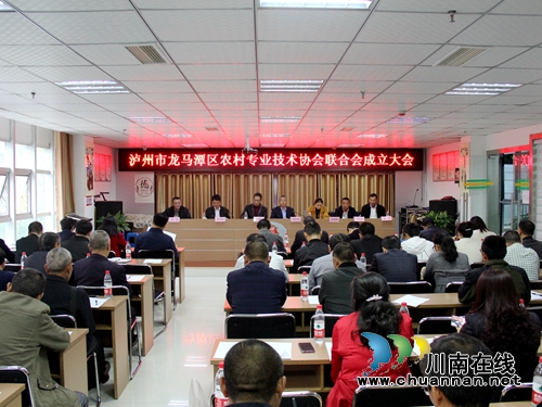 龙马潭区农村专业技术协会联合会成立(图2)