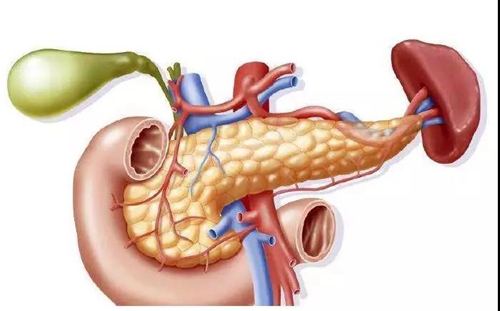 围观！泸州这家医院这样对无钱医病的患者……(图5)