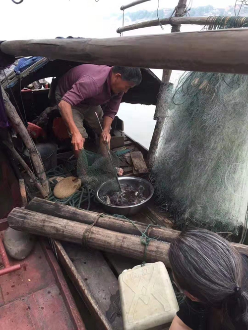 退渔停捕 还生态平衡;上岸经营 开生活新篇(图4) 退渔停捕 还生态平衡;上岸经营 开生活新篇(图4)