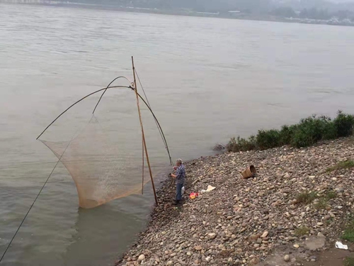 退渔停捕 还生态平衡;上岸经营 开生活新篇(图8) 退渔停捕 还生态平衡;上岸经营 开生活新篇(图8)