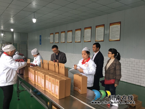 四川省委督导组调研合江县食品安全工作(图2)