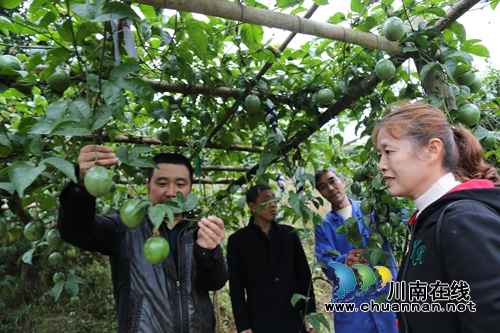 贺永强：用当兵精神助泸县贫困村脱贫攻坚(图2)