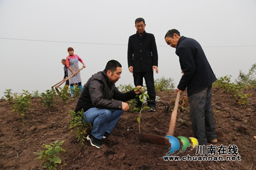 贺永强：用当兵精神助泸县贫困村脱贫攻坚(图6)