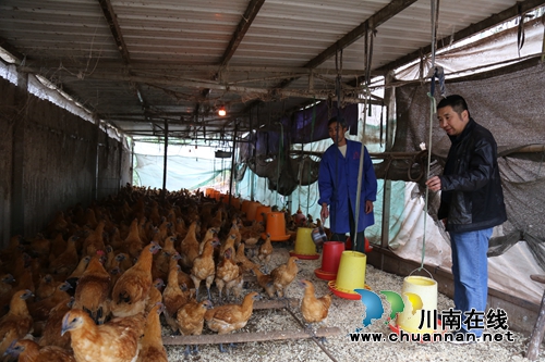 贺永强：用当兵精神助泸县贫困村脱贫攻坚(图8)