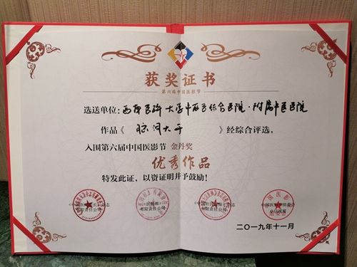 西南医大中医院作品获中国医影节金丹奖(图4)