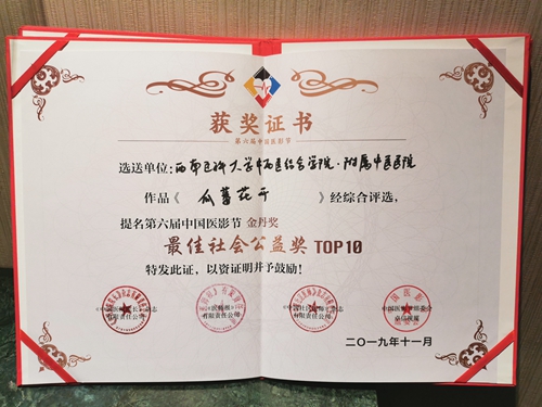 西南医大中医院作品获中国医影节金丹奖(图6)
