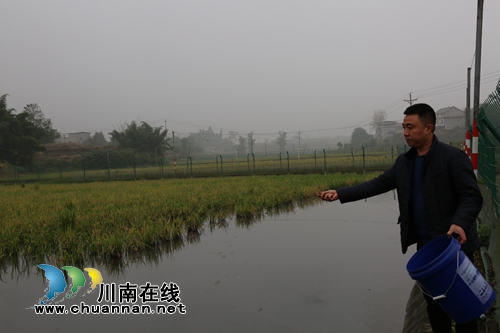 泸县机器超人刘世超：专业人做专业事带人致富(图3)