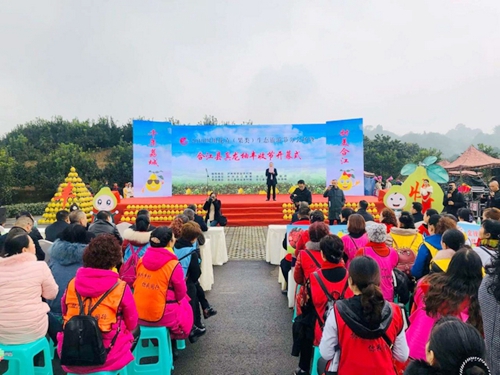 皮好剥肉好吃&nbsp;合江真龙柚今年卖到了澳大利亚(图1)