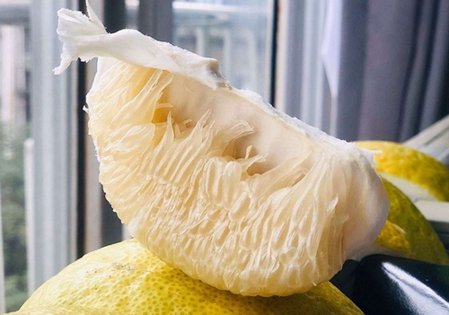 皮好剥肉好吃&nbsp;合江真龙柚今年卖到了澳大利亚(图3)