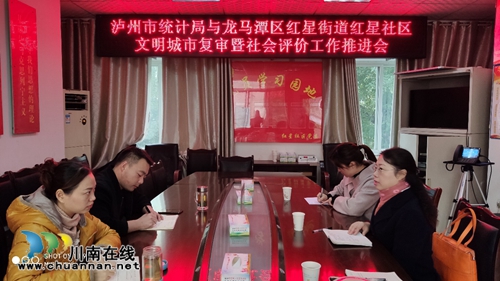 泸州市统计局到红星社区推进文明城市迎复审暨党风廉政建设社会评价工作(图1)