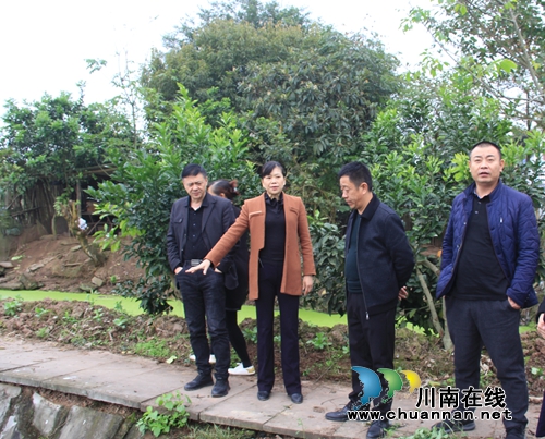 杜作文到泸县云龙镇指导乡村振兴示范创建工作(图1)
