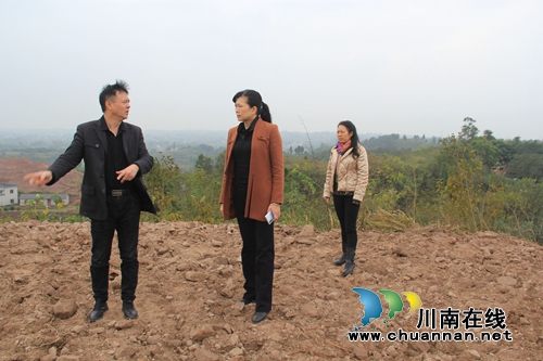 杜作文到泸县云龙镇指导乡村振兴示范创建工作(图2)