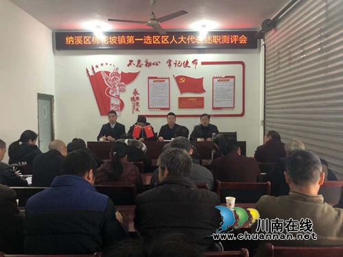 纳溪区棉花坡镇开展第一选区人大代表述职评议(图1)