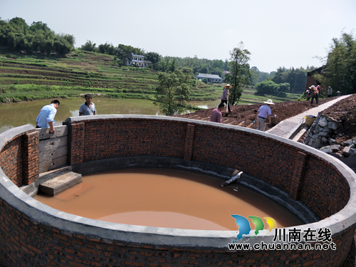 泸县云龙镇：着力实施土地整理项目&nbsp;为全面振兴乡村添油加彩(图4)