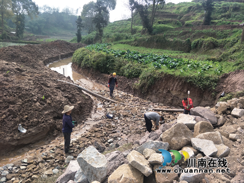 泸县云龙镇：着力实施土地整理项目&nbsp;为全面振兴乡村添油加彩(图5)
