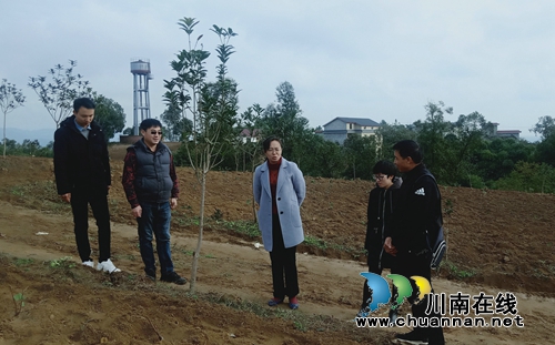 泸县潮河镇督导贫困村脱贫攻坚和产业发展工作(图3)
