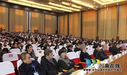 陶行知研究会全国教师发展高峰论坛在合江举行(图2)