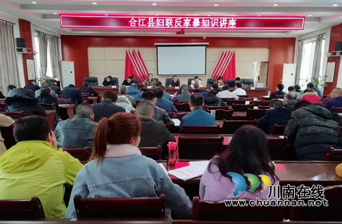 合江县妇联开展全方位、多角度“反家暴”宣传活动(图4)