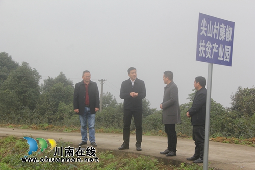 肖刚到泸县海潮镇督导脱贫攻坚工作(图1)